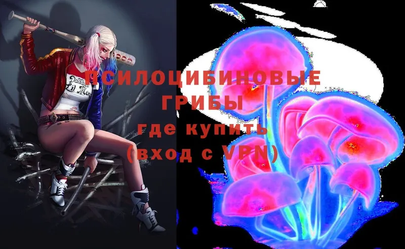 Псилоцибиновые грибы Psilocybe  Лакинск 